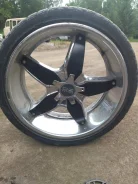 Diewe Alito. x20" ����