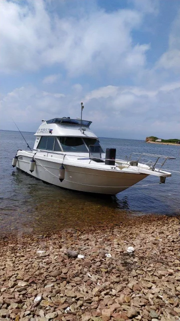 Searay. 1992 ���, ����� 10��., ��������� ������������, 400��.�., ������ ����