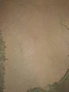 ������. ����