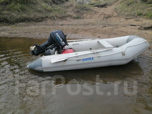 Tadpole. 2016 ���, ����� 3��., ��������� ��� ���������, 15��.�. ����