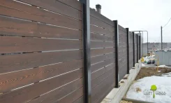 ����� ��������. ����