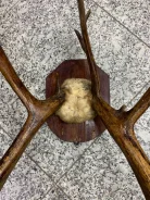 ���� - ������ �������� ����