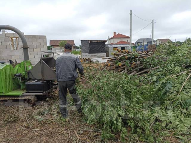 Расчистка территории от деревьев во Владивостоке