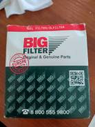   Big Filter 4801012010 