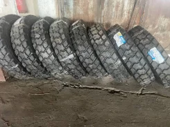 Annaite 309. �����������, ����� ����