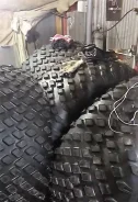 ������. �����������, 2022 ���, ����� ����