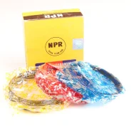 ������ ��������� R2-N (SDT20058ZZ) NPR R20123130A ����