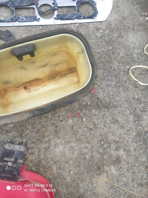 ��������. ����