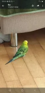 �������. ����