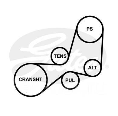 Ручейковый ремень пежо 406 схема