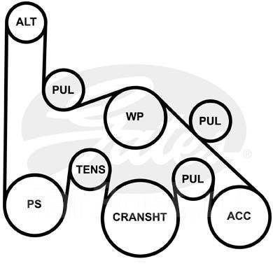 Приводной ремень гранд старекс схема - 96 фото