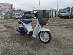 Suzuki Mollet. 49����. ��., ��������, ��� ���, ��� ������� ����