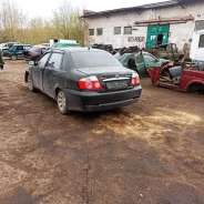 Lifan Breez ����