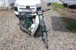 Suzuki Birdie. 50����. ��., ��������, ��� ���, ��� ������� ����