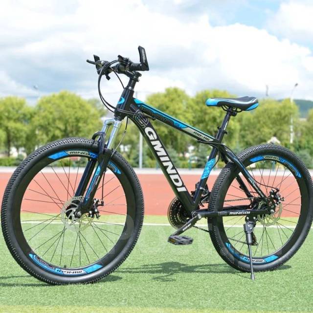 Gielang bicycle hotsell