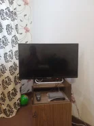 Polar ����