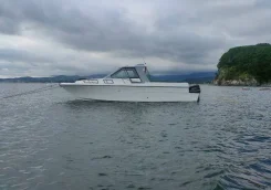 Yamaha FR-27. 1994 ���, ����� 8,6��., ��������� ��� ���������, ������ ����