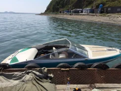 Bayliner. 1993 ���, ����� 5,6��., ��������� ��� ���������, 190��.�., ������ ����