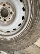Dunlop. ������, ��� ����, �/�, ����� 10�% ����