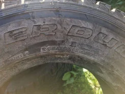 Bridgestone Winter Dueler DM-Z2. ������, ��� �����, �/�, ����� 50�% ����