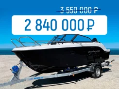 ���� Phoenix 510BR. ����� 5,1��., ��������� ���������, 100��.�., ������ ����