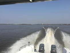 Yamaha FR. 1991 ���, ����� 8��., ��������� ���������, 180��.�., ������ ����