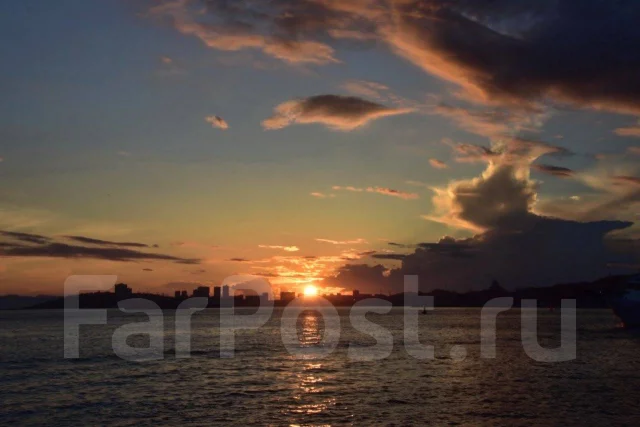 Sony Alpha SLT-A65. 20 � ����� ��, ���: 3� ����