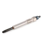 ����� ������ Duraterm Bosch 0250202131 0250202131 ����