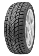 Delinte Winter WD6