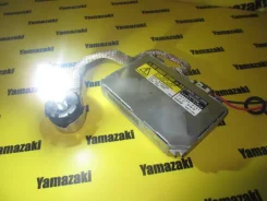 ���� ������� ������� 8596750020 ����