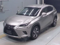 Lexus NX300h. ��������, 4wd, 2.5 (152��.�.), ������, 19����. ��, �/�. ��� ����� �� ������������ ����