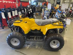 Irbis ATV200. ��������, ���� ���\���, ��� ������� ����