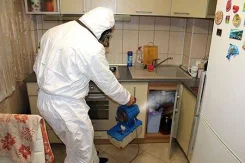 ����������� ������. ����