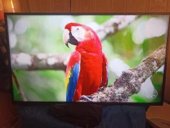 Hisense. LCD (��) ����
