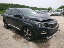 Peugeot 3008. VF3MJEHZRLS256313, AH01 ����