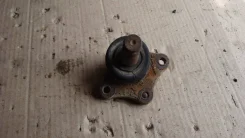 ������� ����� S08399356 ����