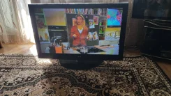 ������ ���������. ������ ����