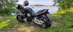 Suzuki GSF 1200 Bandit. 1 200����. ��., ��������, ���, � �������� ����