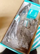 ����������� ������� �����������������, ���� KA-26, 1AZFE/2AZFE 13506-0H031 ����