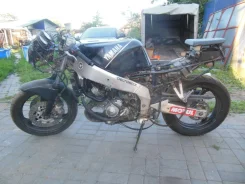 Yamaha FZR 250 ����