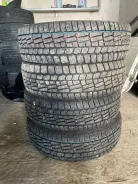 Viatti Brina. ������, ��� �����, 2021 ���, ����� ����