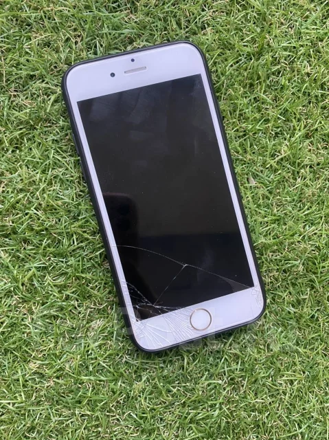 Apple iPhone 6. �/�, ������� ����