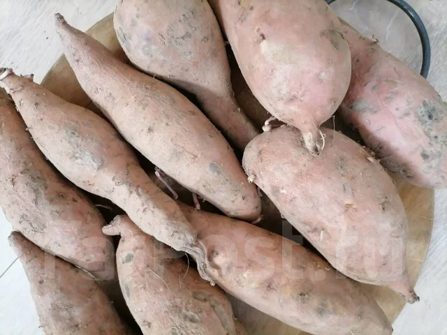 Батат "Сладкий картофель" - Продукты питания во Владивостоке
