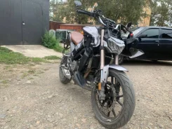 Regulmoto Alien Monster 300. 300����. ��., ��������, ���, � �������� ����