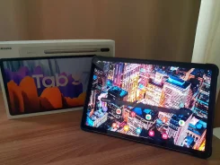 Samsung Galaxy Tab S7. 11 ������ ����