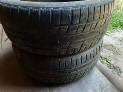 Annaite 100. ������, ��� �����, 2014 ���, �/�, ����� 70 % ����
