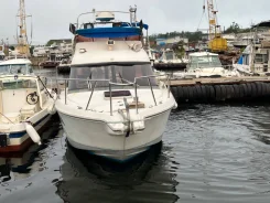 Yanmar. 1996 ���, ����� 8,9��., ��������� ������������, 240��.�., ������ ����