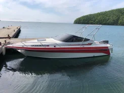 Nissan Seabreeze. 1992 ���, ����� 7��., ��������� ���������, 150��.�., ������ ����