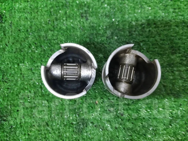 ������� ������ ������� Suzuki 5 ����
