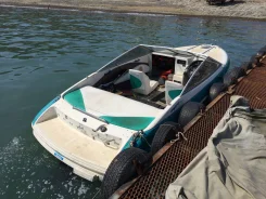 Bayliner. 1993 ���, ����� 5,6��., ��������� ������������, 190��.�., ������ ����